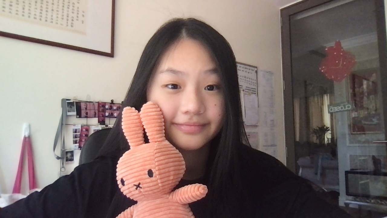Image 30